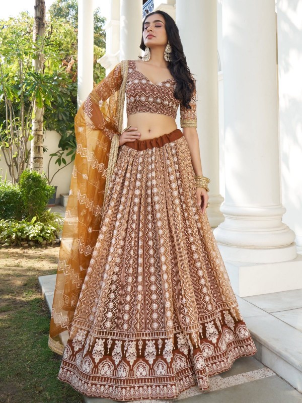 Brown Butterfly Net Lehenga Choli